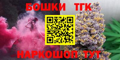 индика Рязань