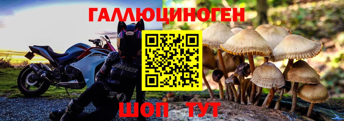 закладки  Вход с VPN  Галлюциногенные грибы GOLDEN TEACHER  Россошь  Галлюциногенные грибы прущие грибы 